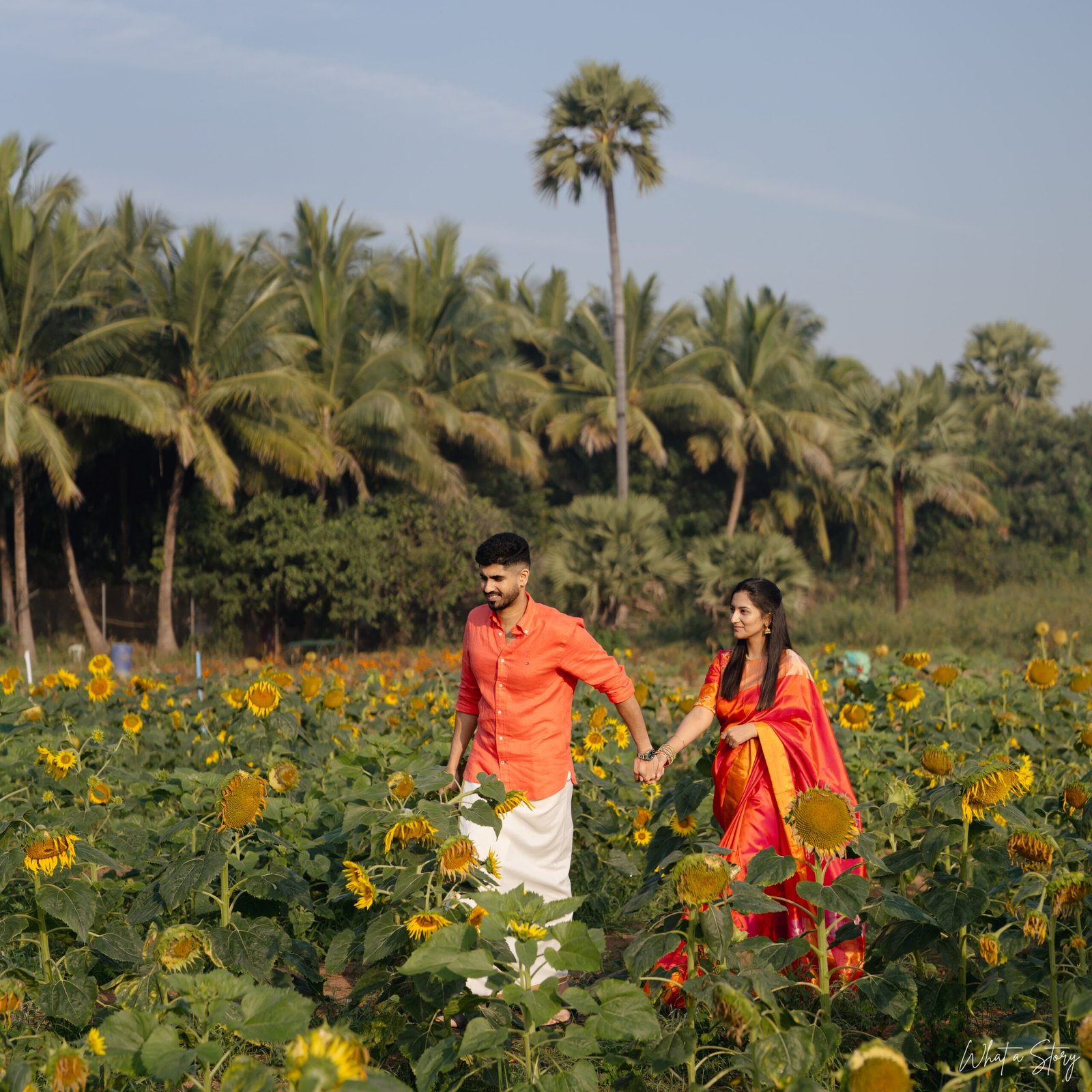 Indian couple holding hands while walking through a bright sunflower field surrounded by palm trees
