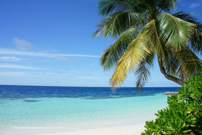 Ashwem Beach Goa quiet beachfront wedding venue with palm trees and clear water